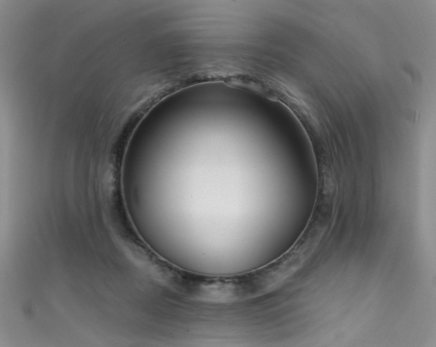 X0000111590362200907161458