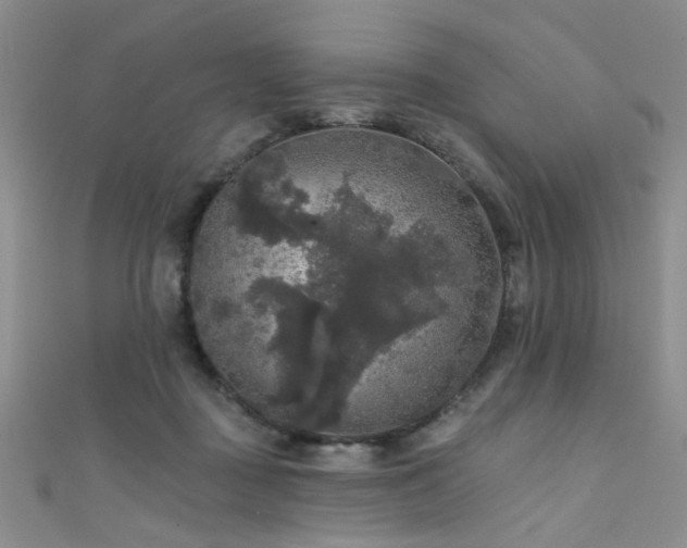 X0000111590363200907161458