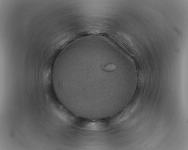 X0000111590364200907161458