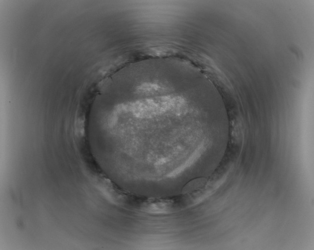 X0000111590368200907161458