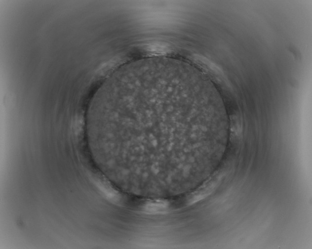 X0000111590369200907161458