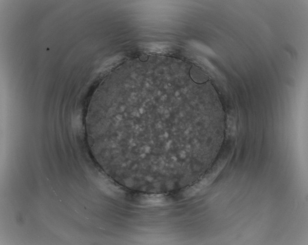 X0000111590377200907161458