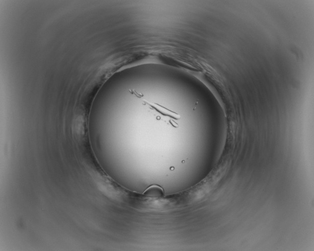 X0000111590379200907161458