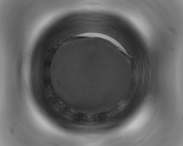 X0000111590383200907161458