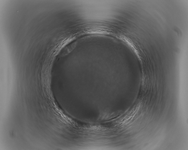 X0000111590385200907161458