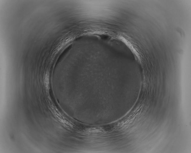 X0000111590386200907161458