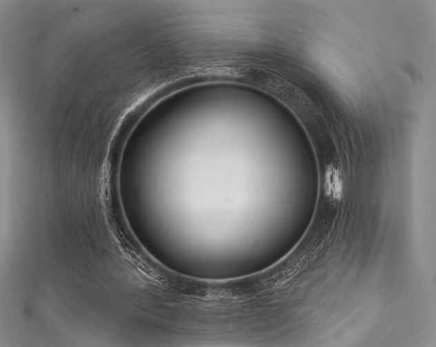 X0000111590388200907161458