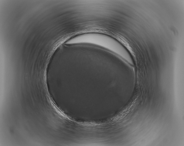 X0000111590389200907161458