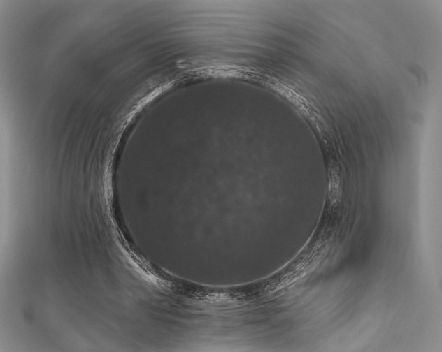 X0000111590390200907161458