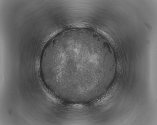 X0000111590394200907161458