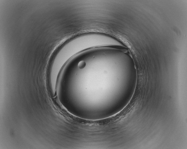 X0000111590395200907161458