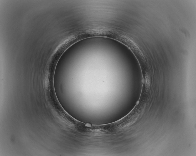 X0000111590396200907161458