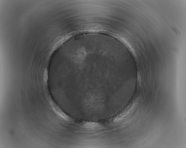 X0000111590397200907161458