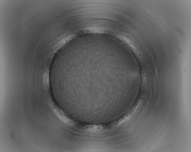 X0000111590398200907161458