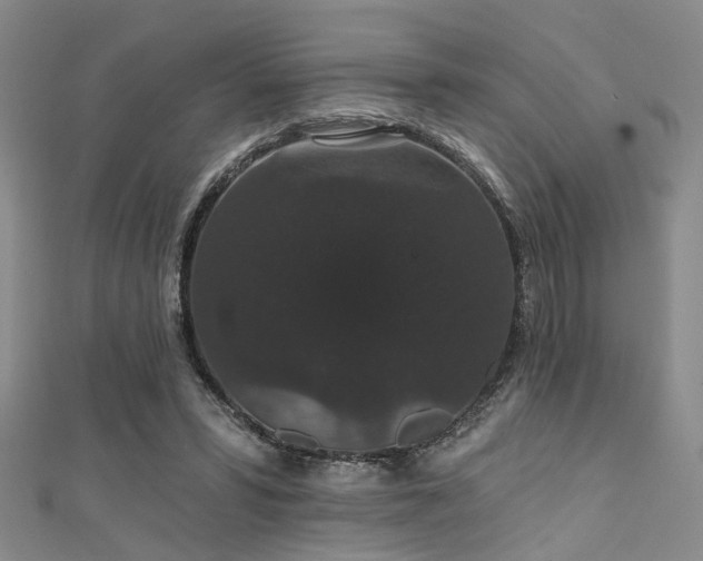 X0000111590399200907161458