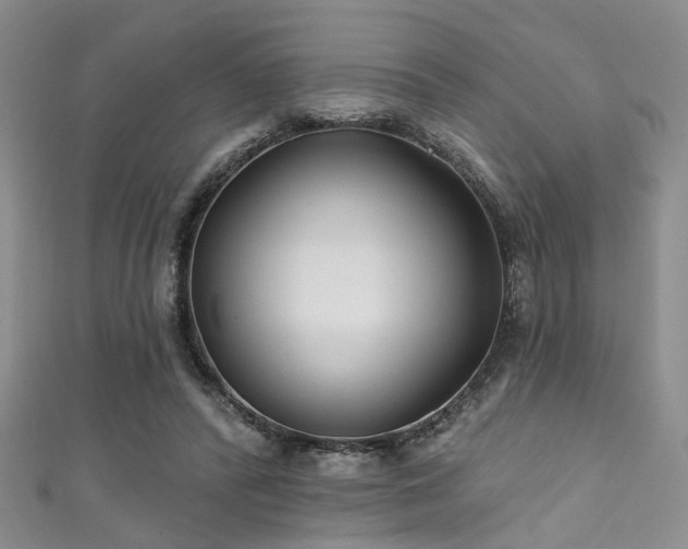 X0000111590400200907161458