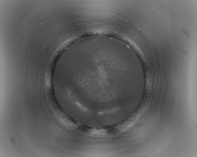 X0000111590403200907161458