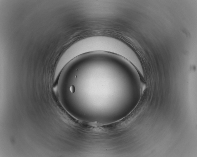 X0000111590409200907161457