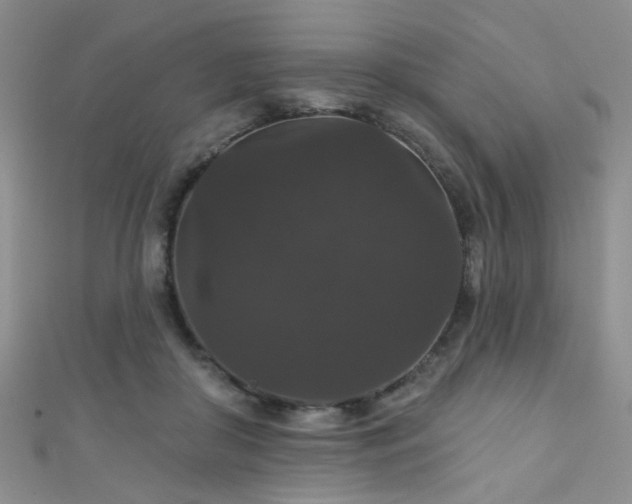 X0000111590410200907161457