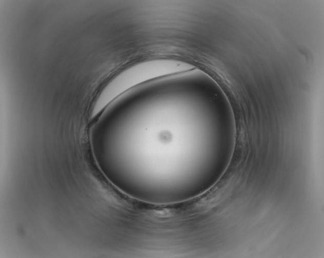 X0000111590411200907161457