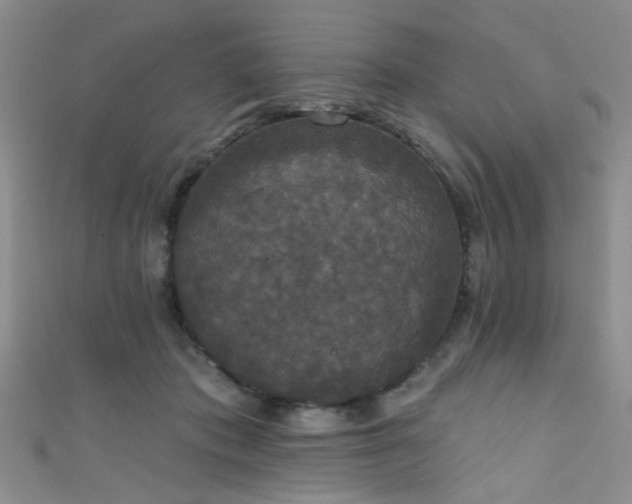 X0000111590413200907161457