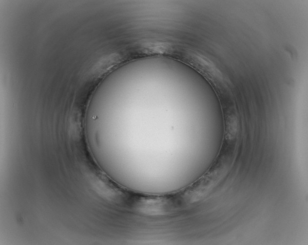 X0000111590414200907161457