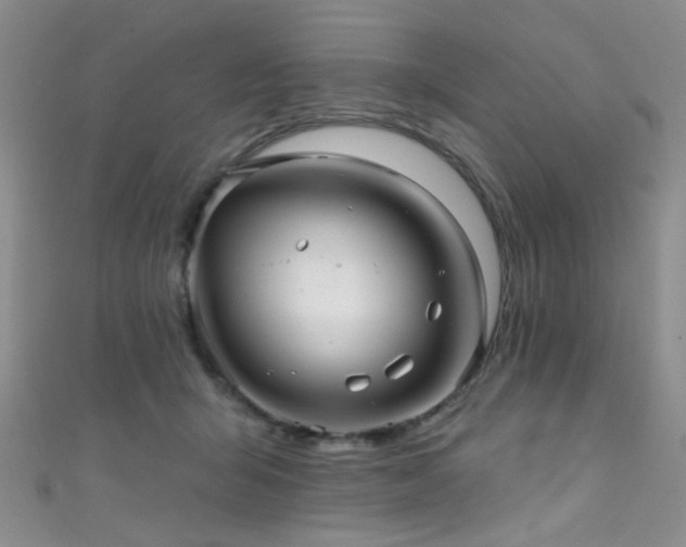 X0000111590415200907161457