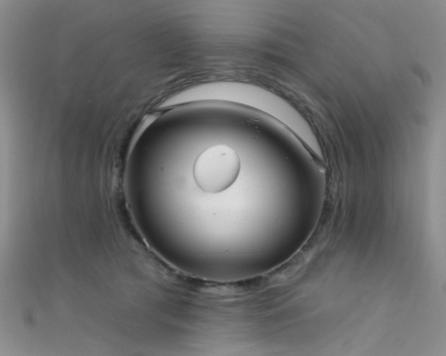 X0000111590417200907161457