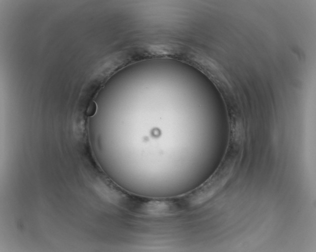 X0000111590418200907161457