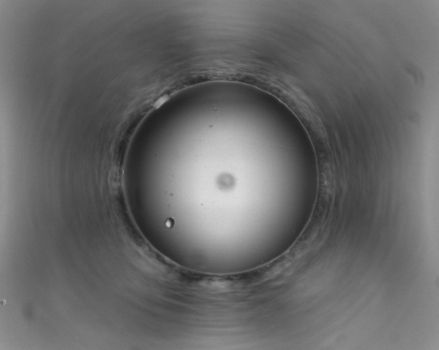 X0000111590419200907161457