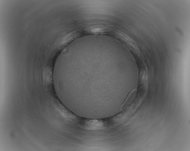 X0000111590421200907161457