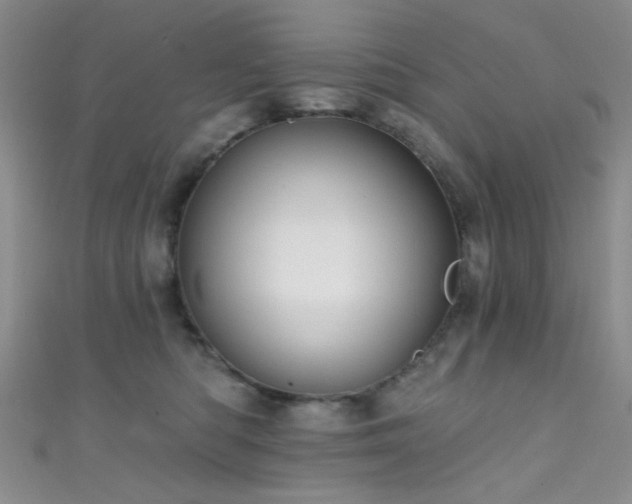 X0000111590422200907161457