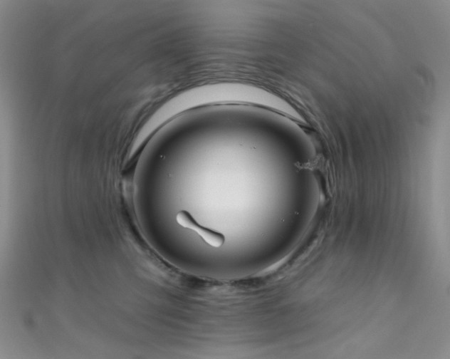 X0000111590423200907161457