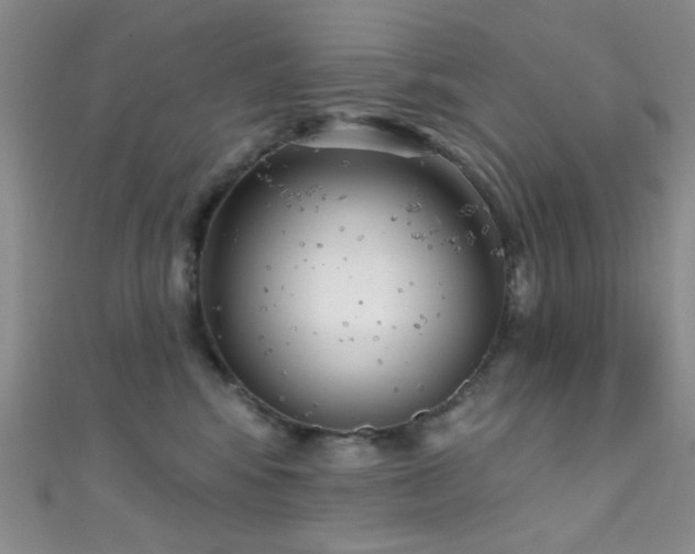 X0000111590424200907161457