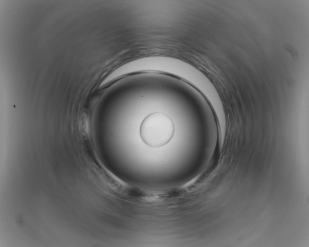 X0000111590425200907161457