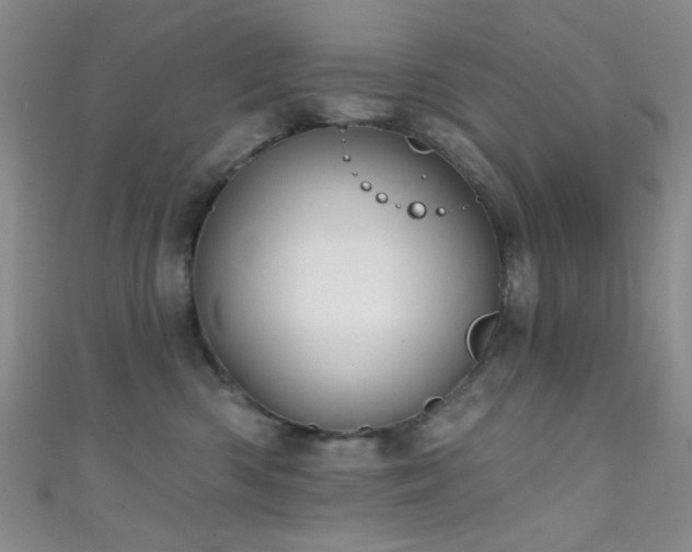 X0000111590426200907161457