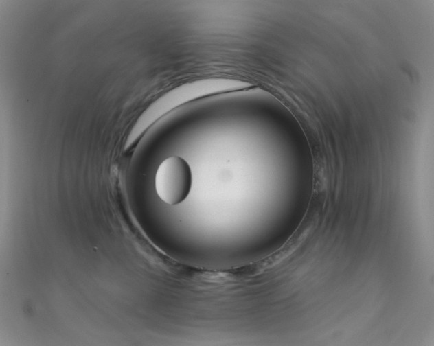 X0000111590427200907161457