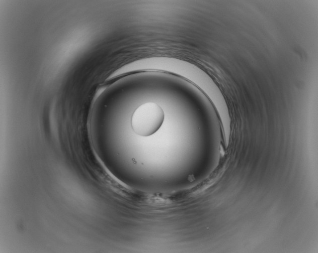 X0000111590429200907161457