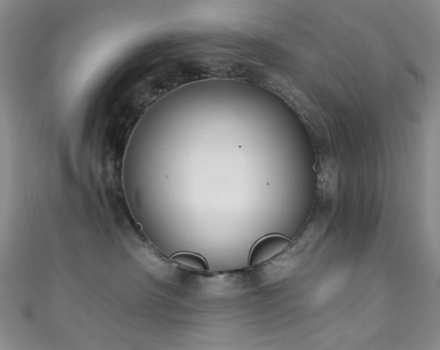 X0000111590430200907161457