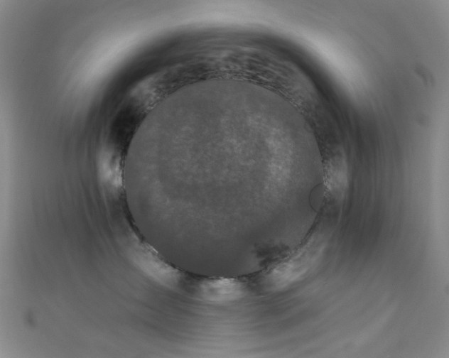 X0000111590431200907161457