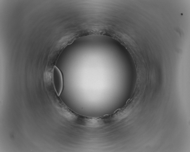 X0000111590432200907161457