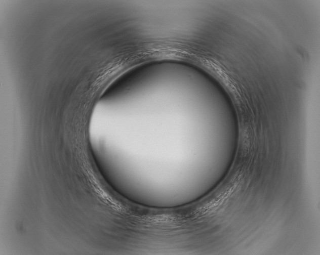 X0000111590433200907161457