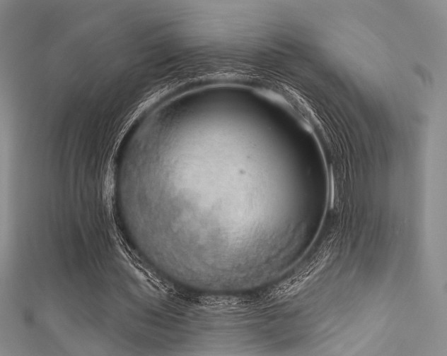 X0000111590435200907161457