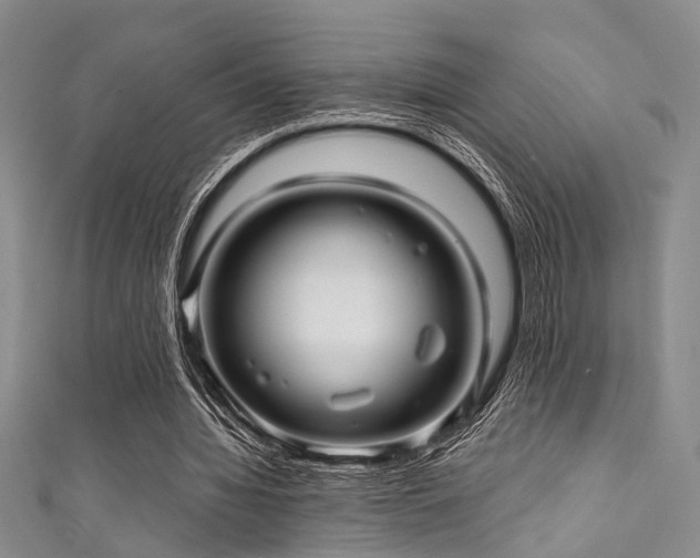 X0000111590436200907161457