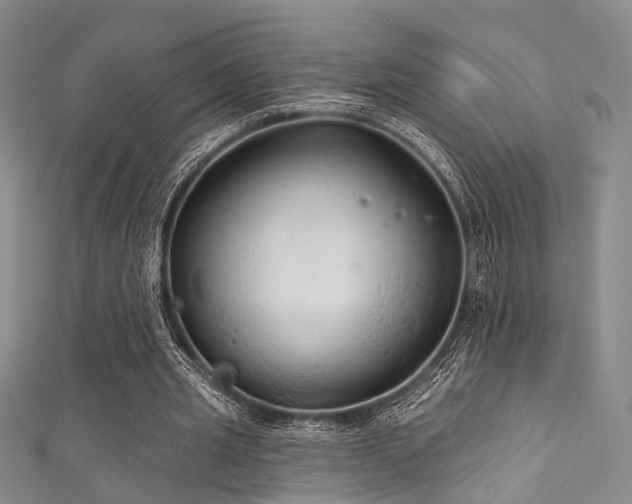 X0000111590437200907161457