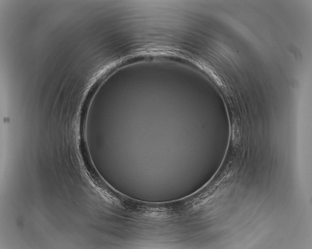 X0000111590438200907161457