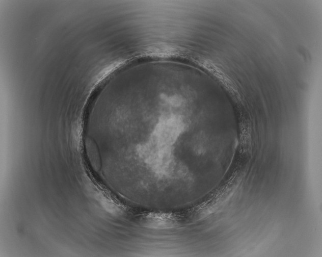 X0000111590440200907161457