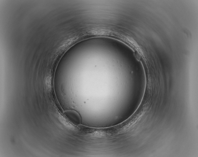 X0000111590441200907161457