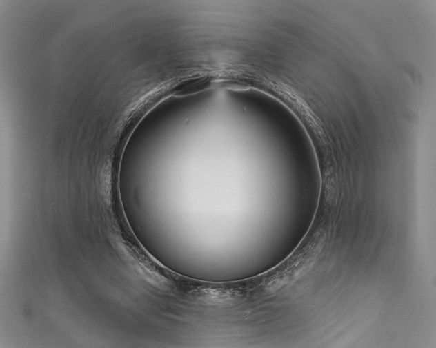 X0000111590442200907161457