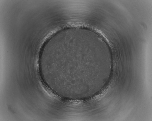 X0000111590443200907161457